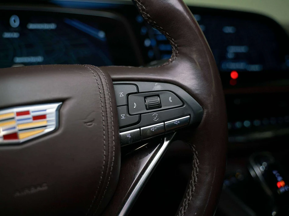 2023 Cadillac Escalade Premium Luxury Platinum (5th Generation), 15/30