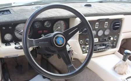 1975 Maserati Khamsin, 13/22