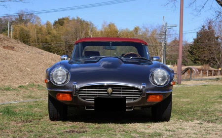 1973 Jaguar E-Type Series 3 V12 Roadster, 3/14