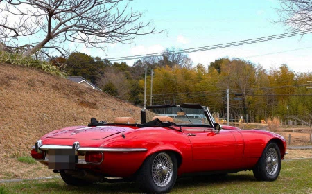 1973 Jaguar E-Type Series 3 V12 Roadster, 5/20