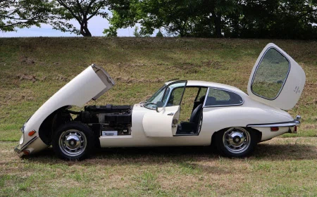 1969 Jaguar E-Type Series 2 Fixed Head Coupé, 8/17