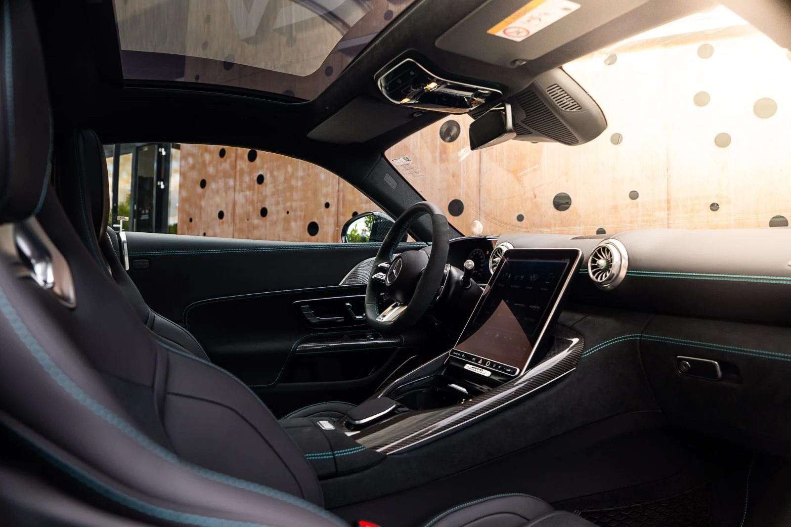 2025 Mercedes-Benz AMG GT 63 PRO Motorsport Collectors Edition, 16/20