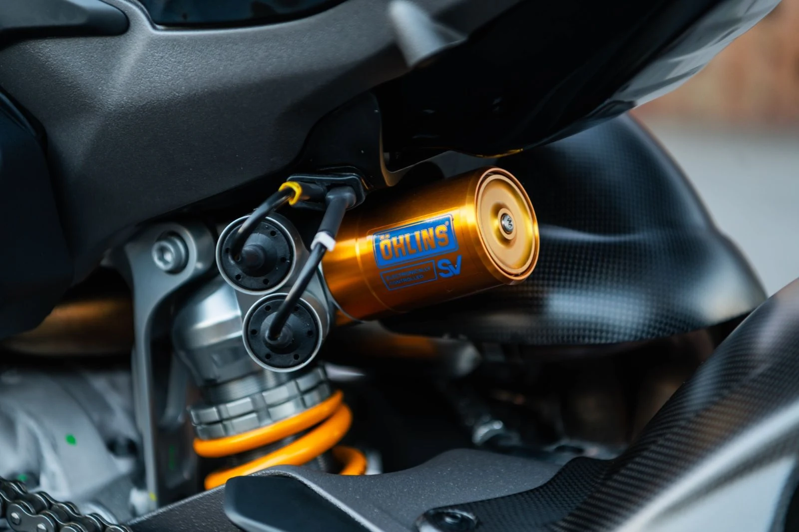 Ducati Panigale V4 Tricolore, 14/15