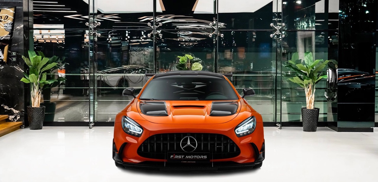 2021 Mercedes-Benz AMG GT Black Series, 13/15
