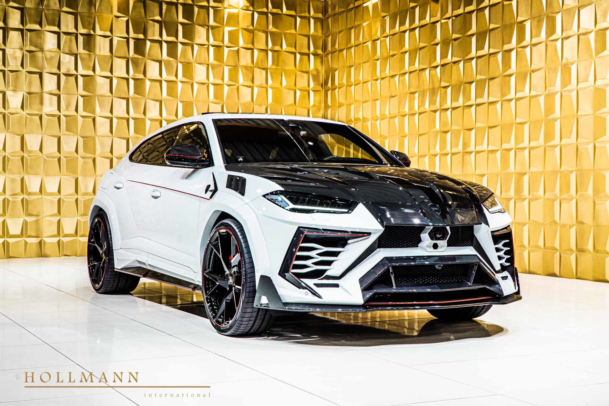 2019 Mansory Urus Venatus, 8/20
