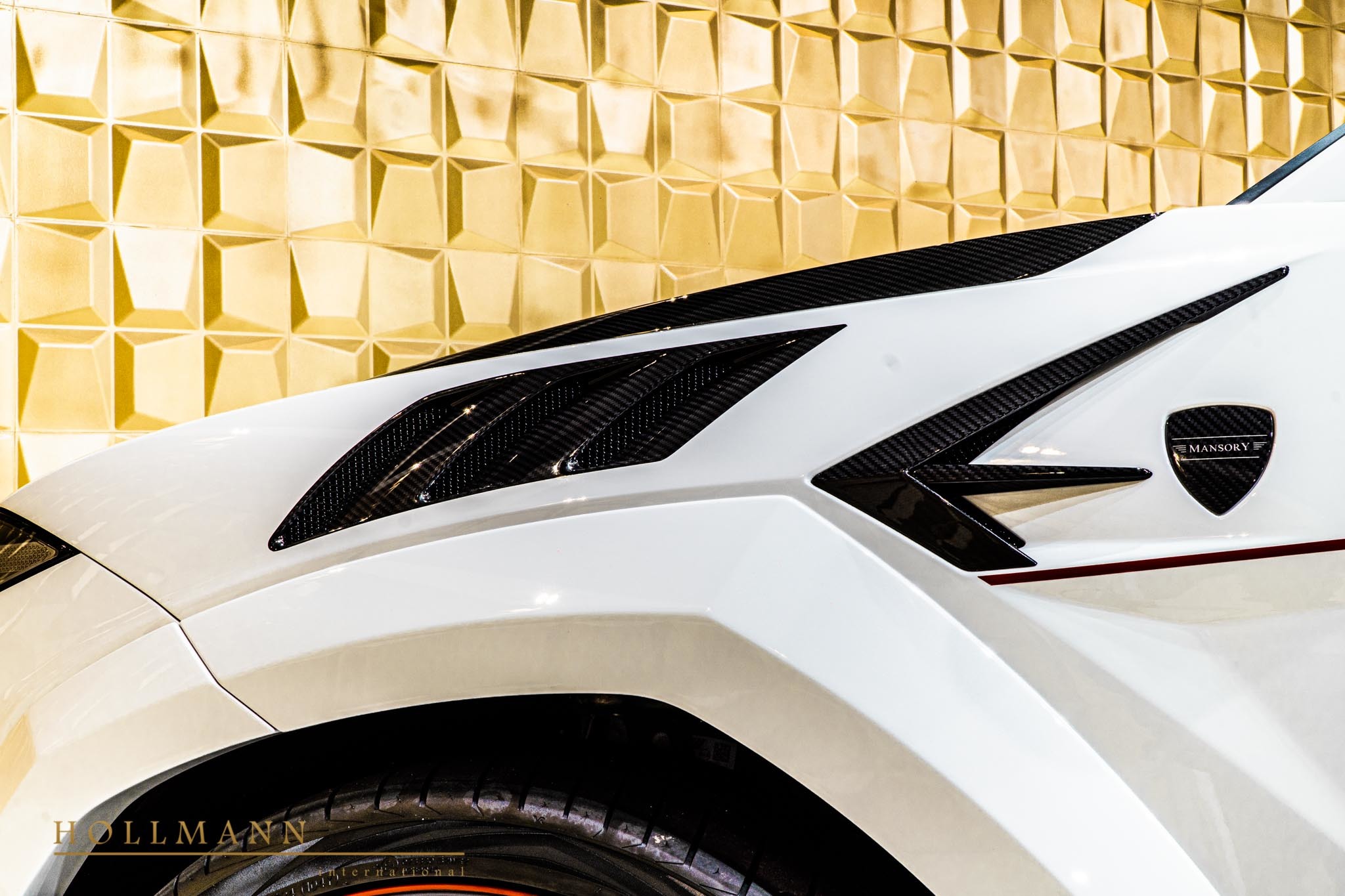 2019 Mansory Urus Venatus, 11/20