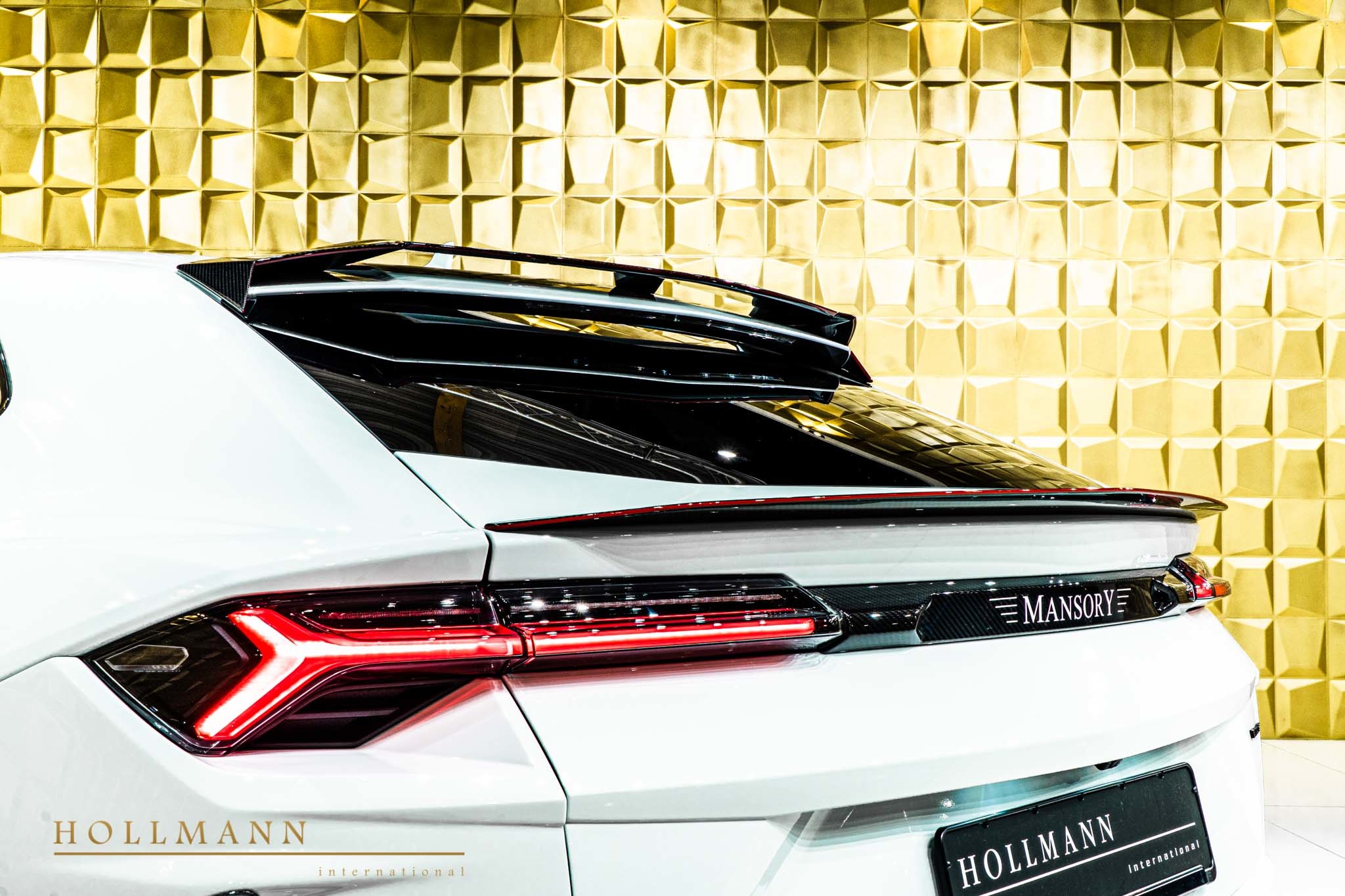 2019 Mansory Urus Venatus, 14/20