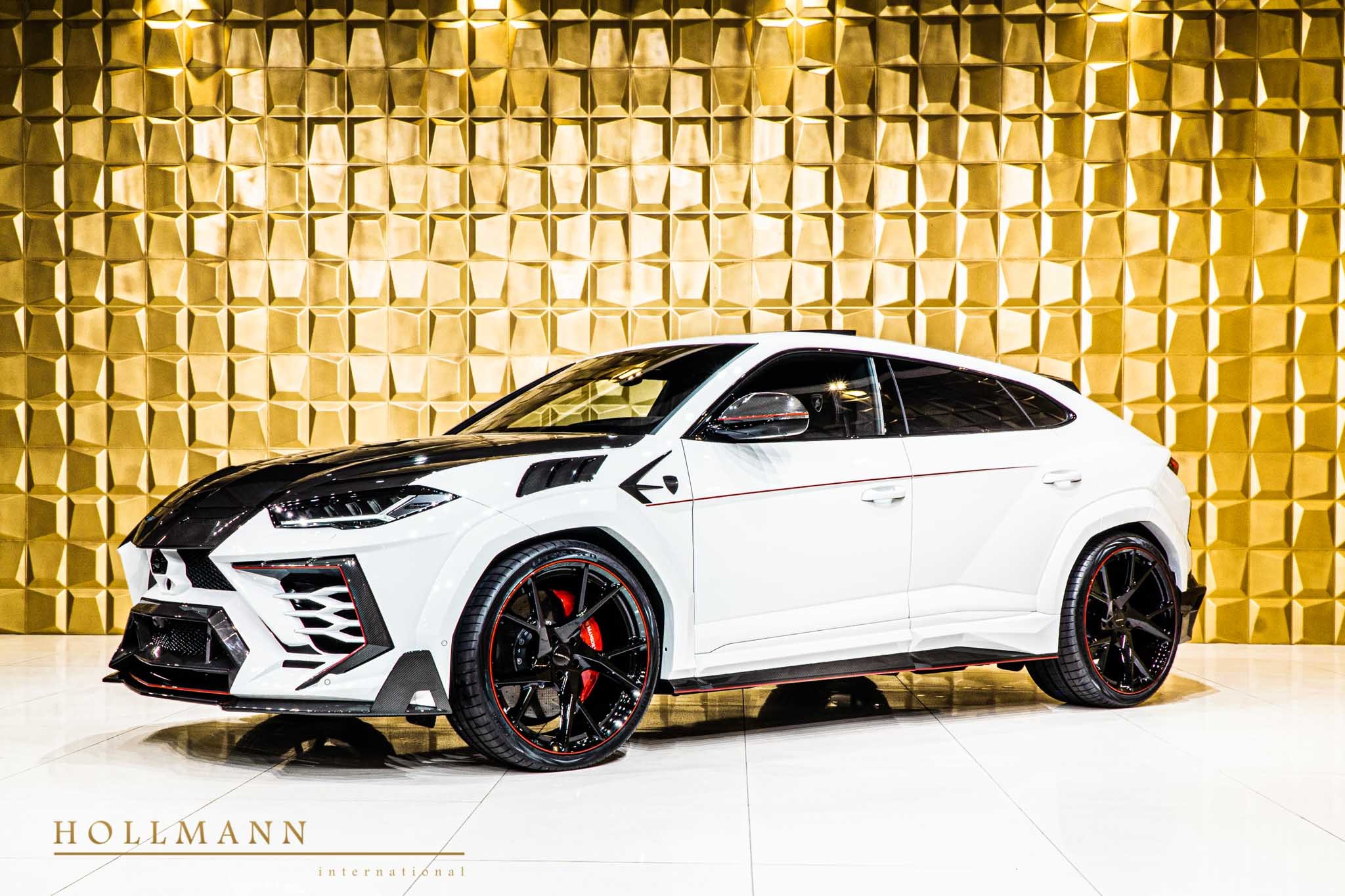 2019 Mansory Urus Venatus, 19/20