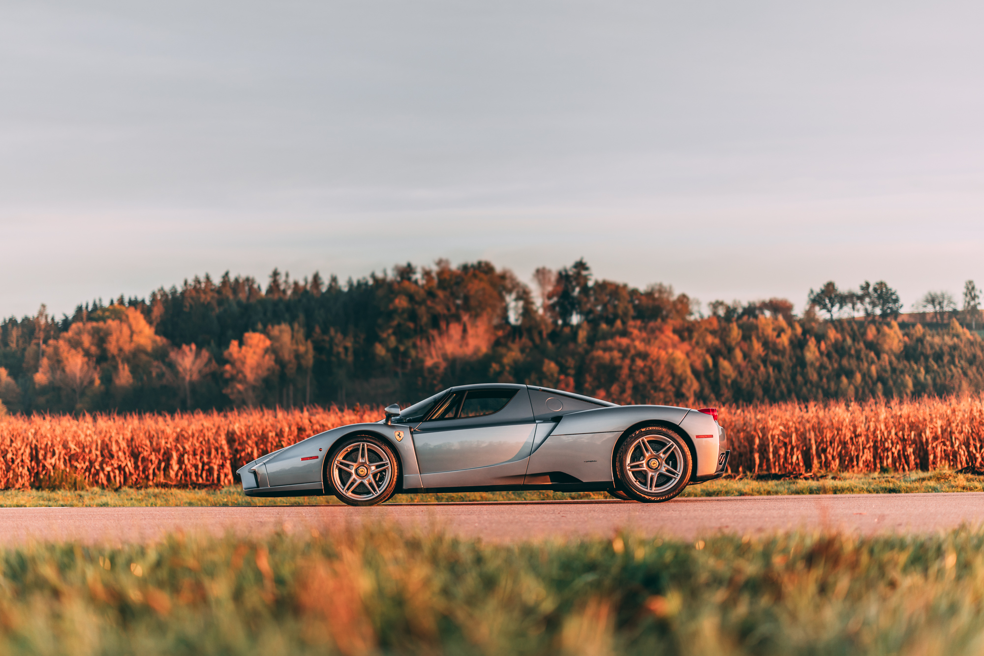 2004 Ferrari Enzo, 4/20