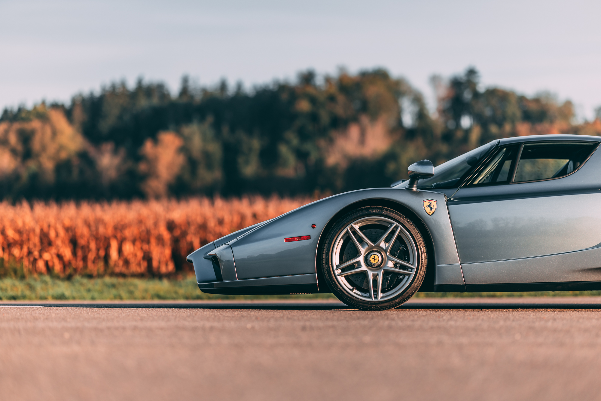 2004 Ferrari Enzo, 7/20