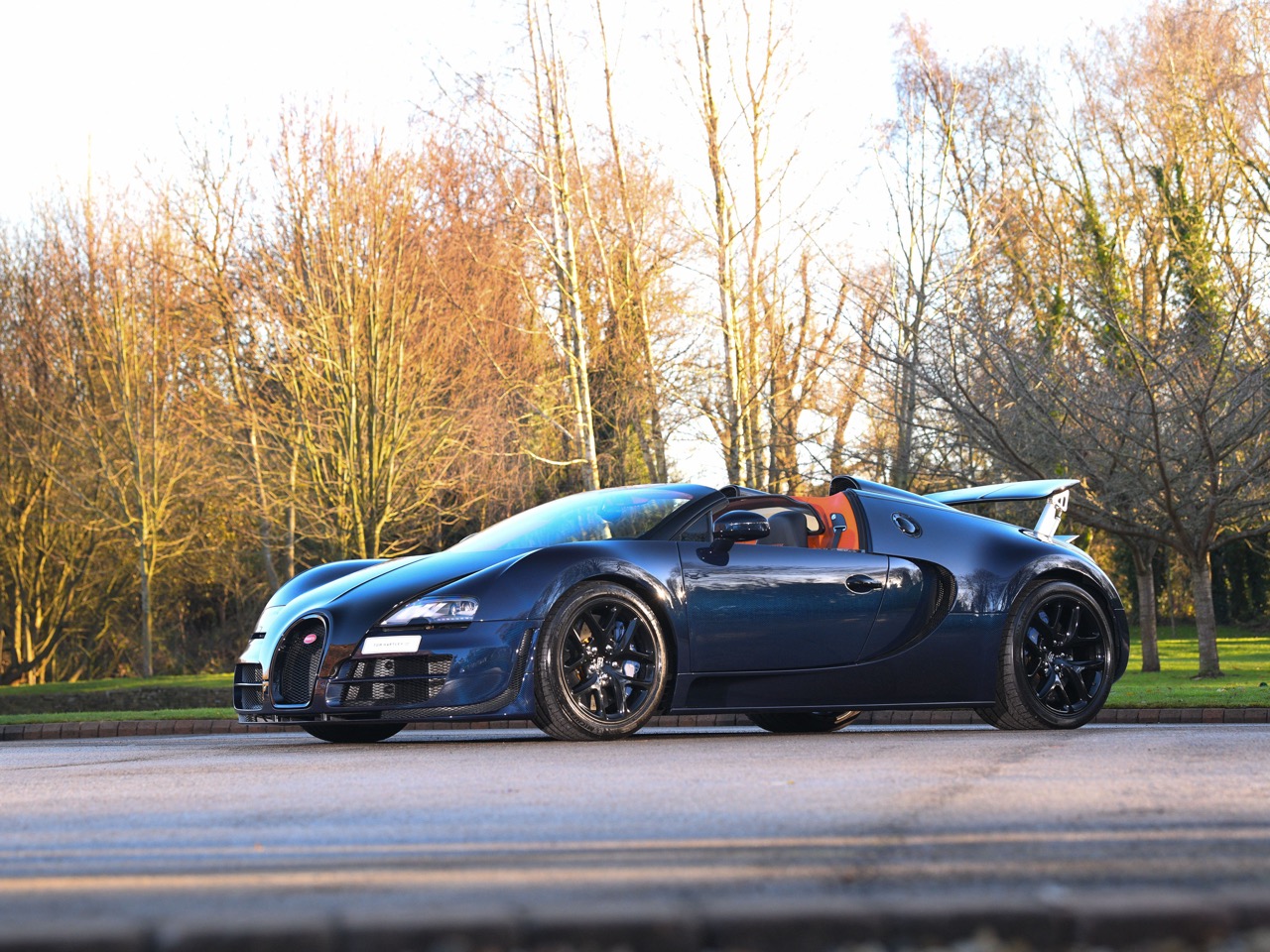 2014 Bugatti Veyron 16.4 Grand Sport Vitesse, 2/20