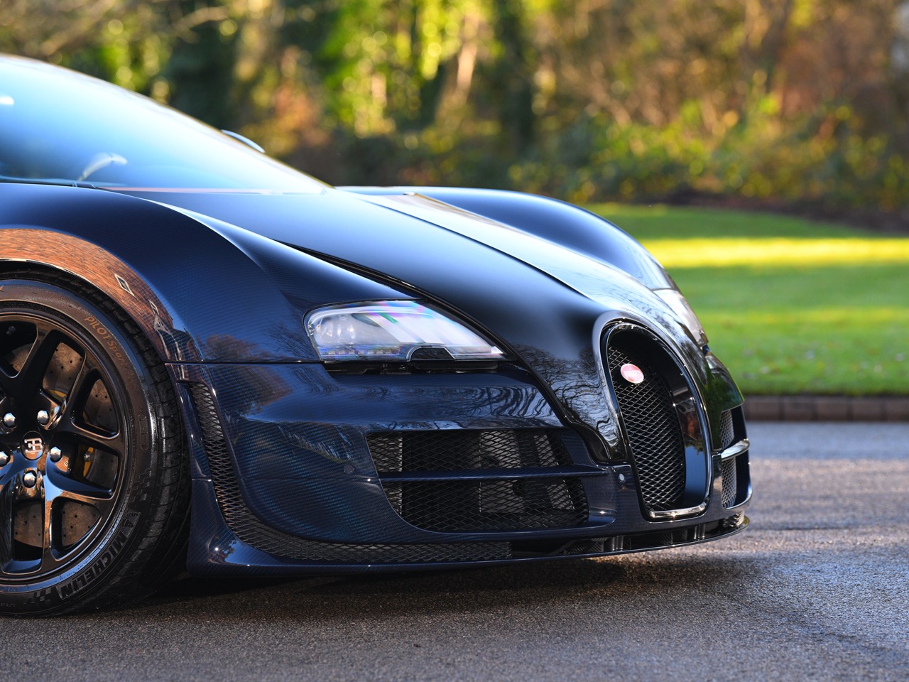 2014 Bugatti Veyron 16.4 Grand Sport Vitesse, 3/20
