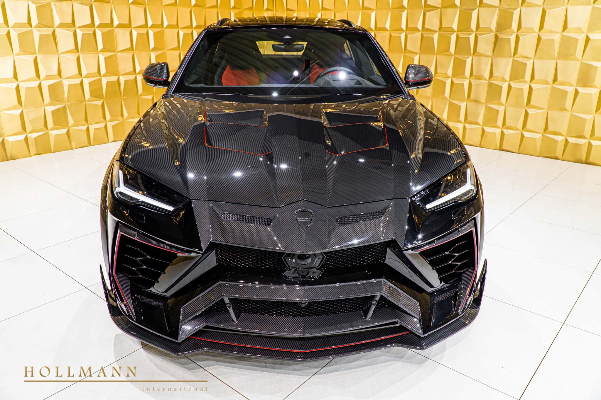 2020 Mansory Urus Venatus, 4/19