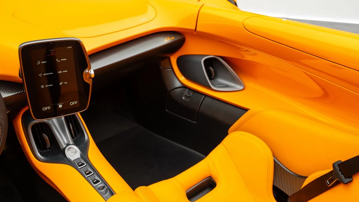 2021 McLaren Elva interior, door panel