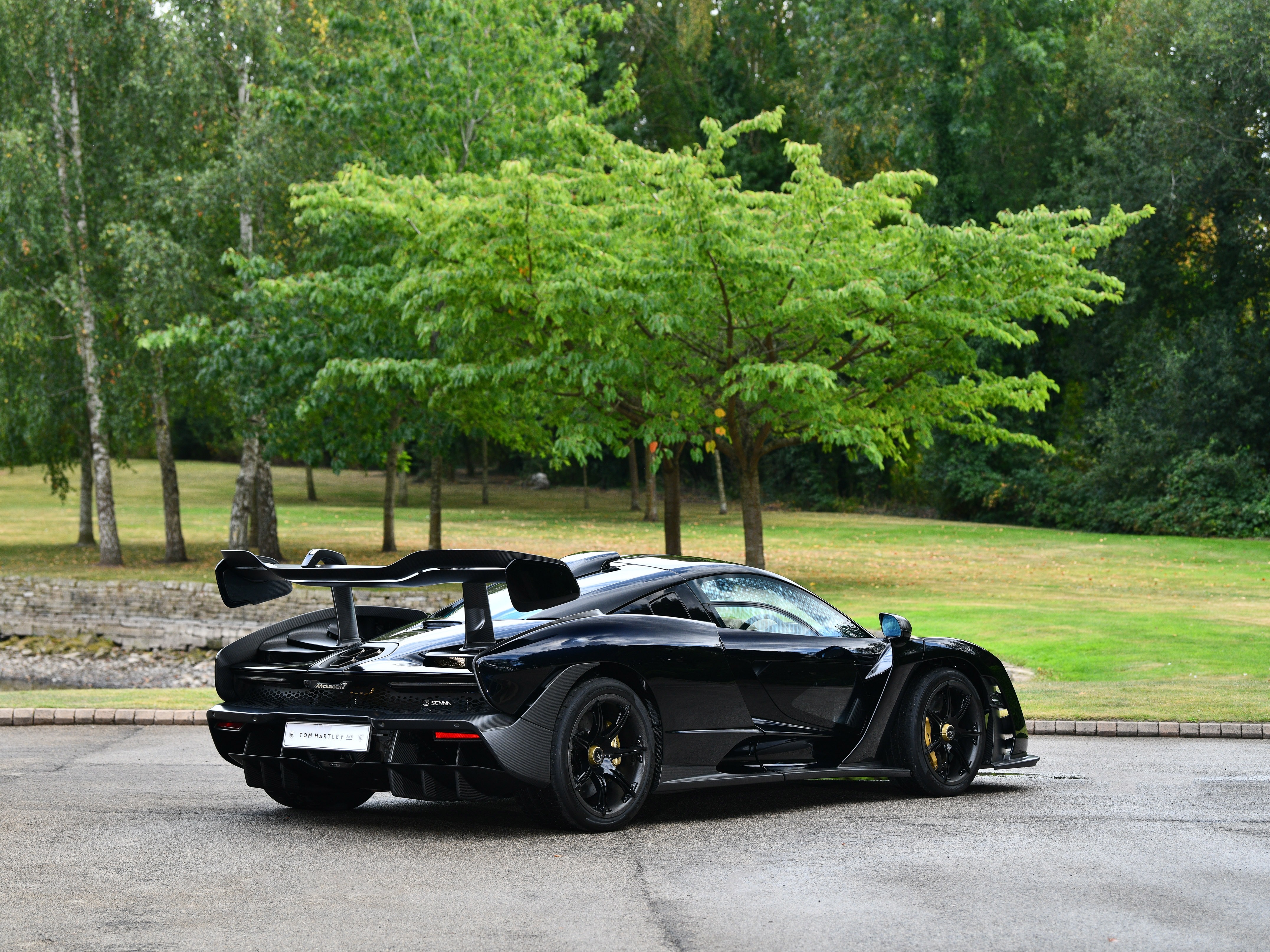 2019 McLaren Senna, 2/11