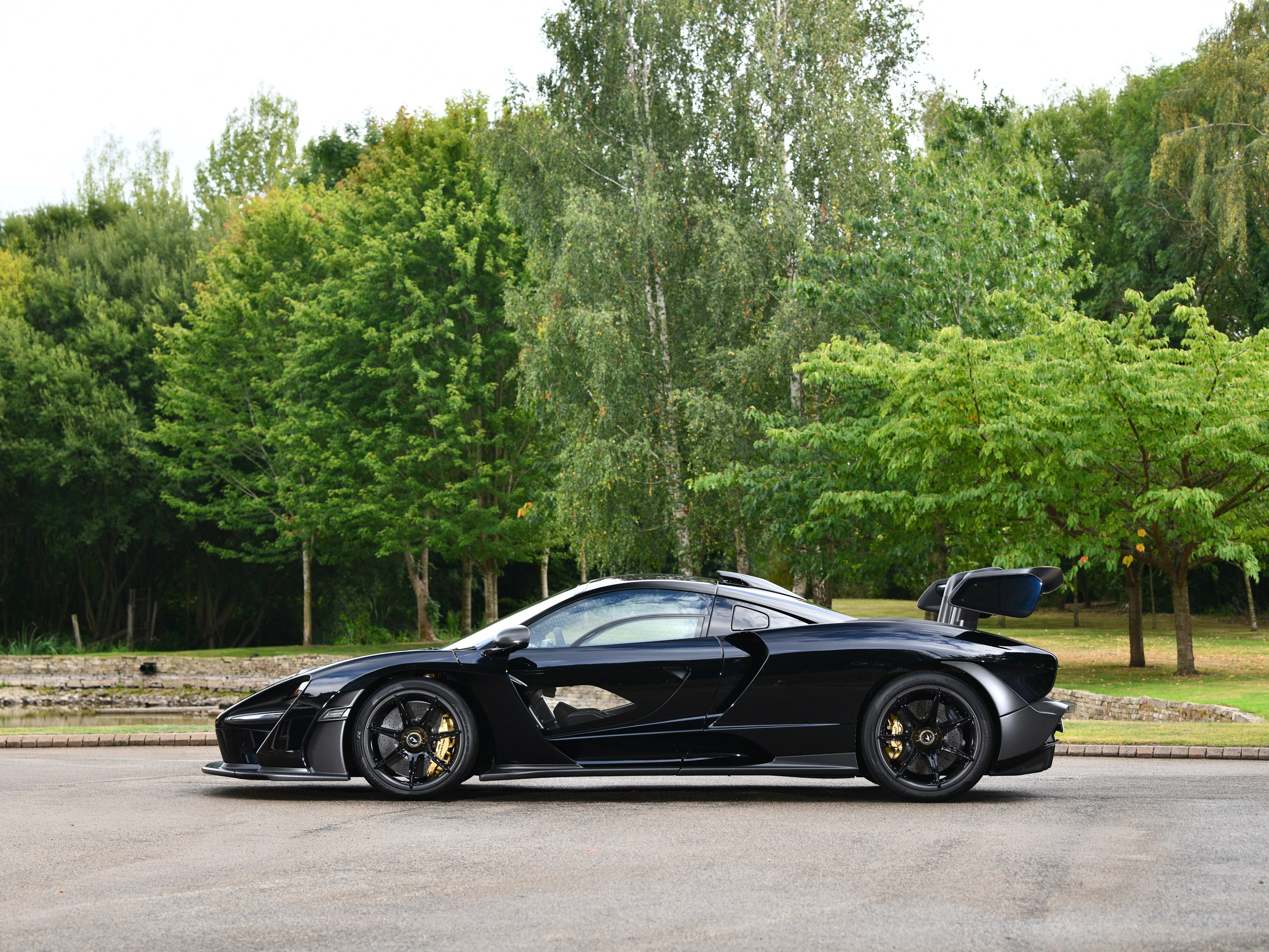 2019 McLaren Senna, 3/11