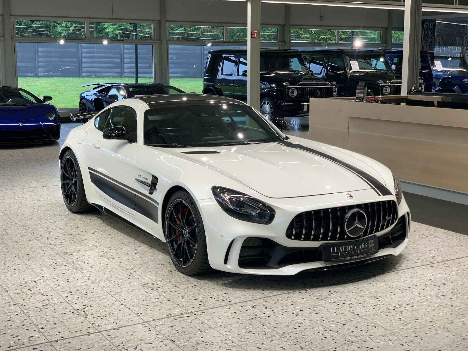 2017 Mercedes-Benz AMG GT R DIAMOND, 2/18