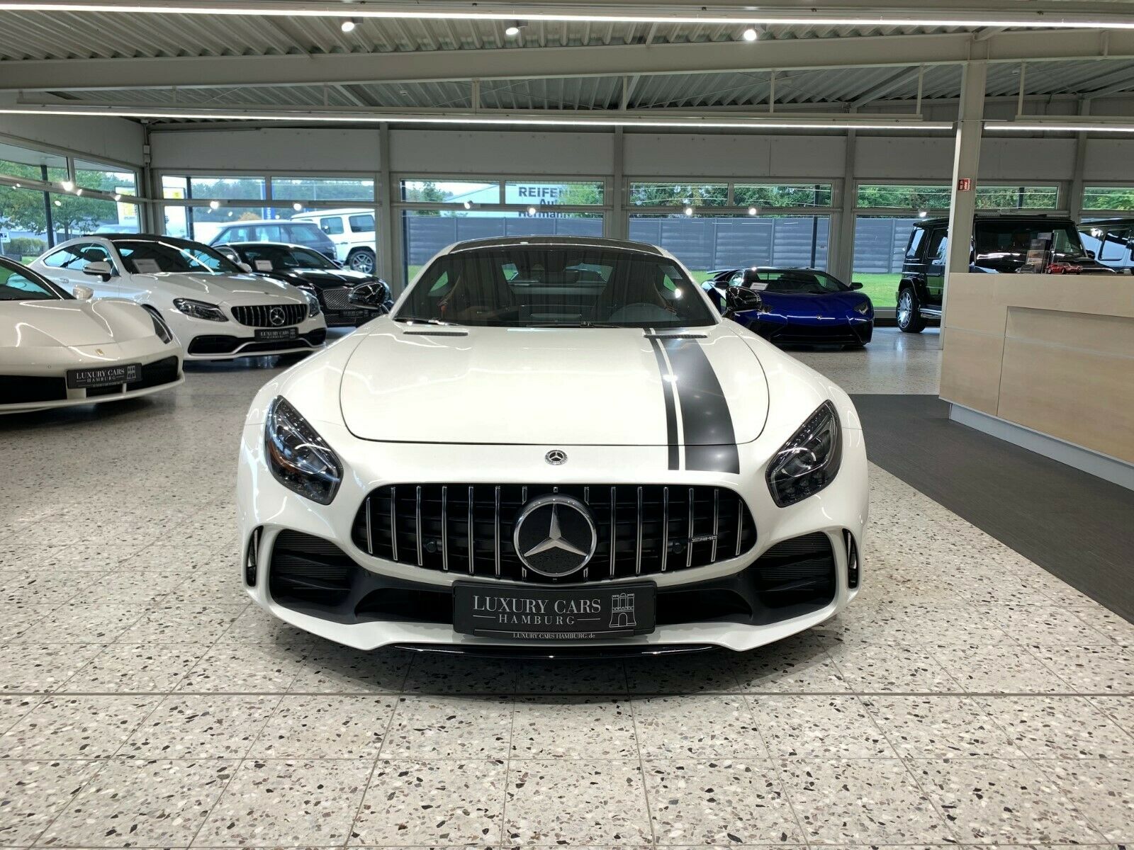 2017 Mercedes-Benz AMG GT R DIAMOND, 6/18