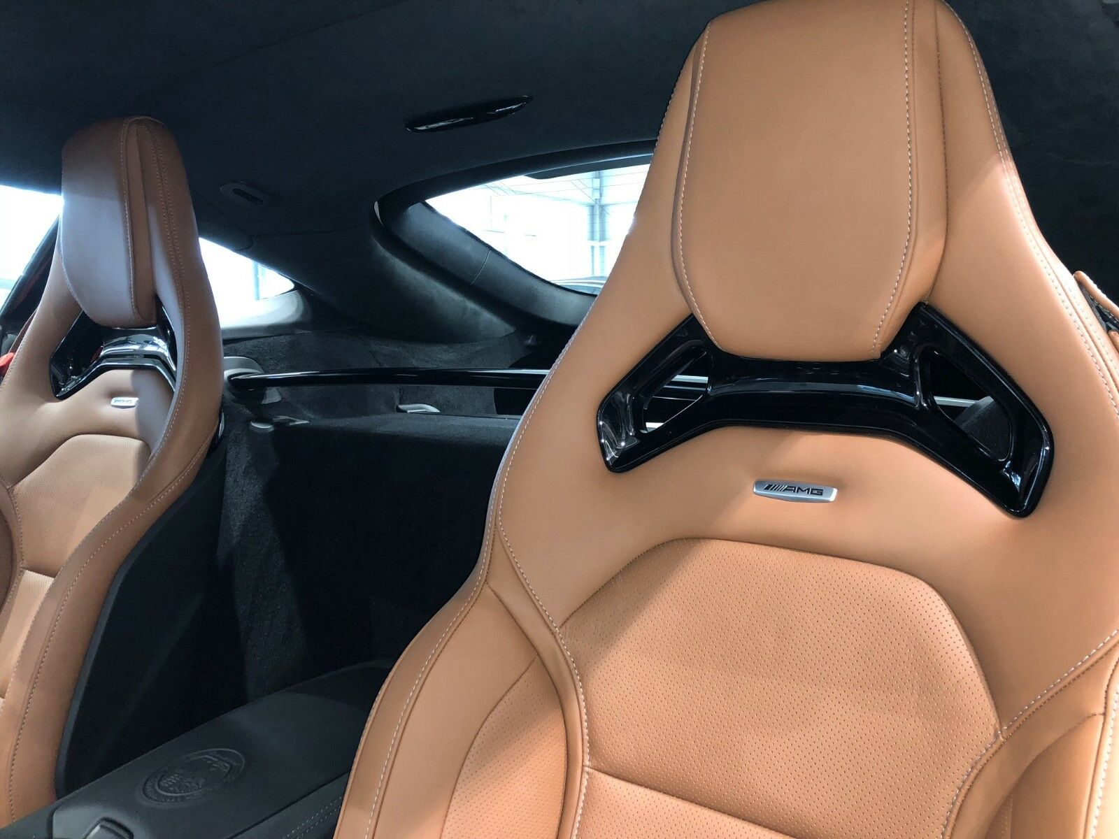 2017 Mercedes-Benz AMG GT R DIAMOND, 18/18