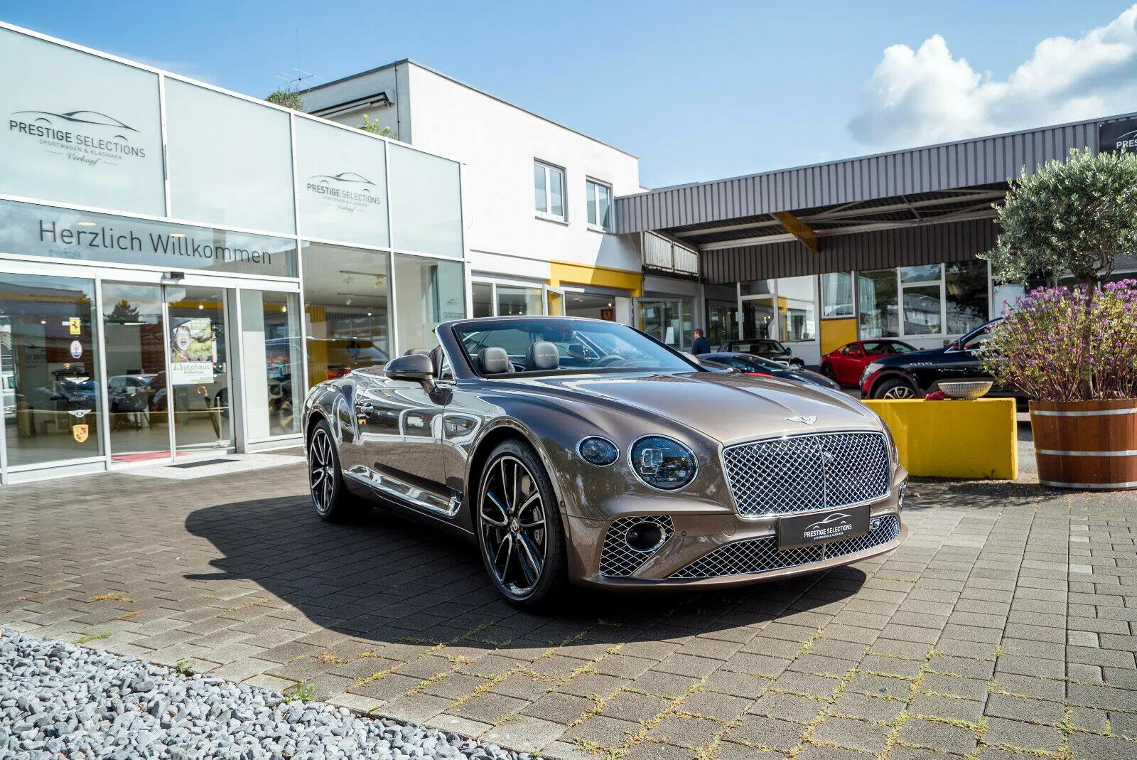 2019 Bentley Continental GTC FIRST EDITION for sale, exterior, Braun Metallic