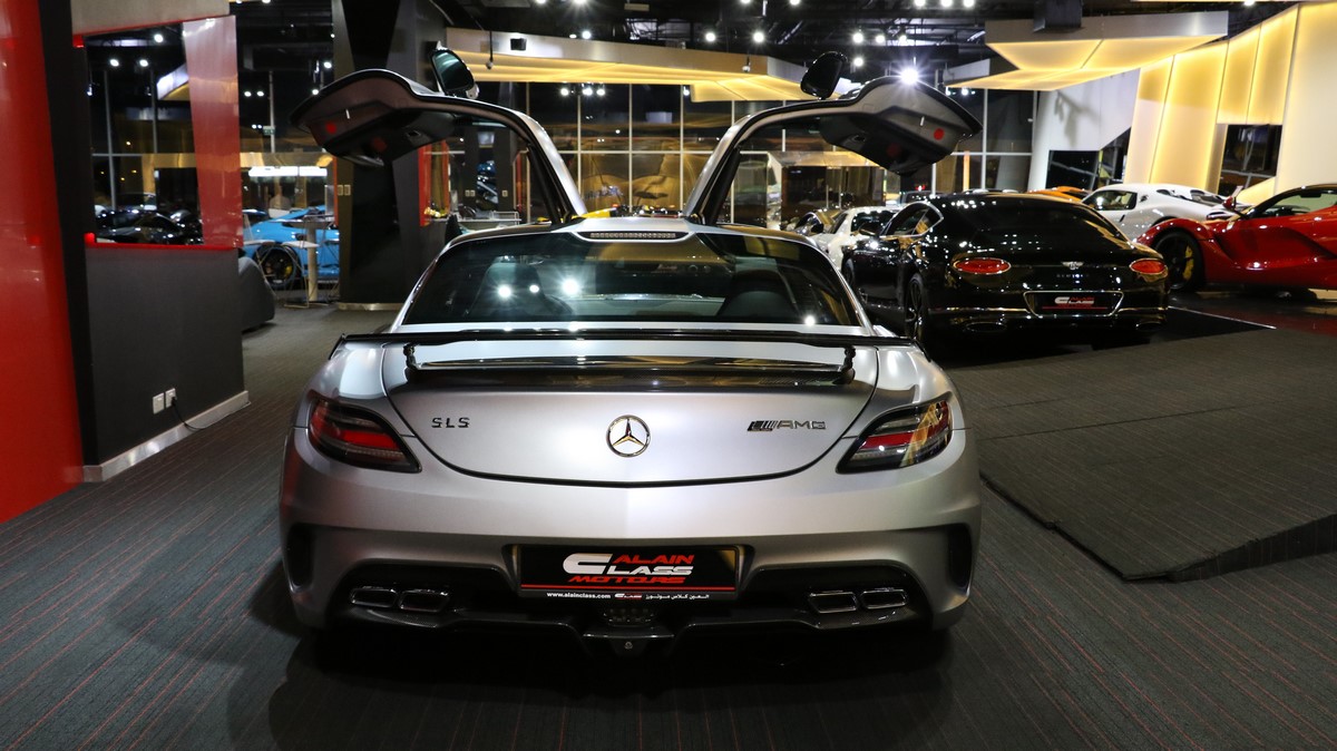 2014 Mercedes-Benz SLS AMG Black Series, 18/19