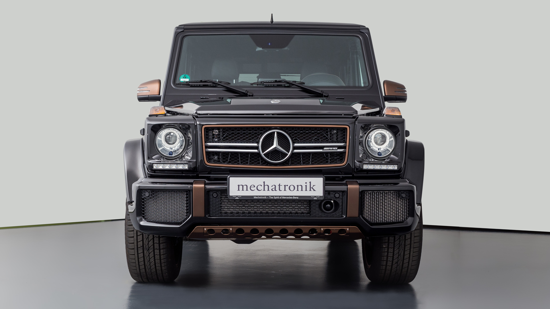 2019 Mercedes-Benz G65 AMG FINAL EDITION, 2/20
