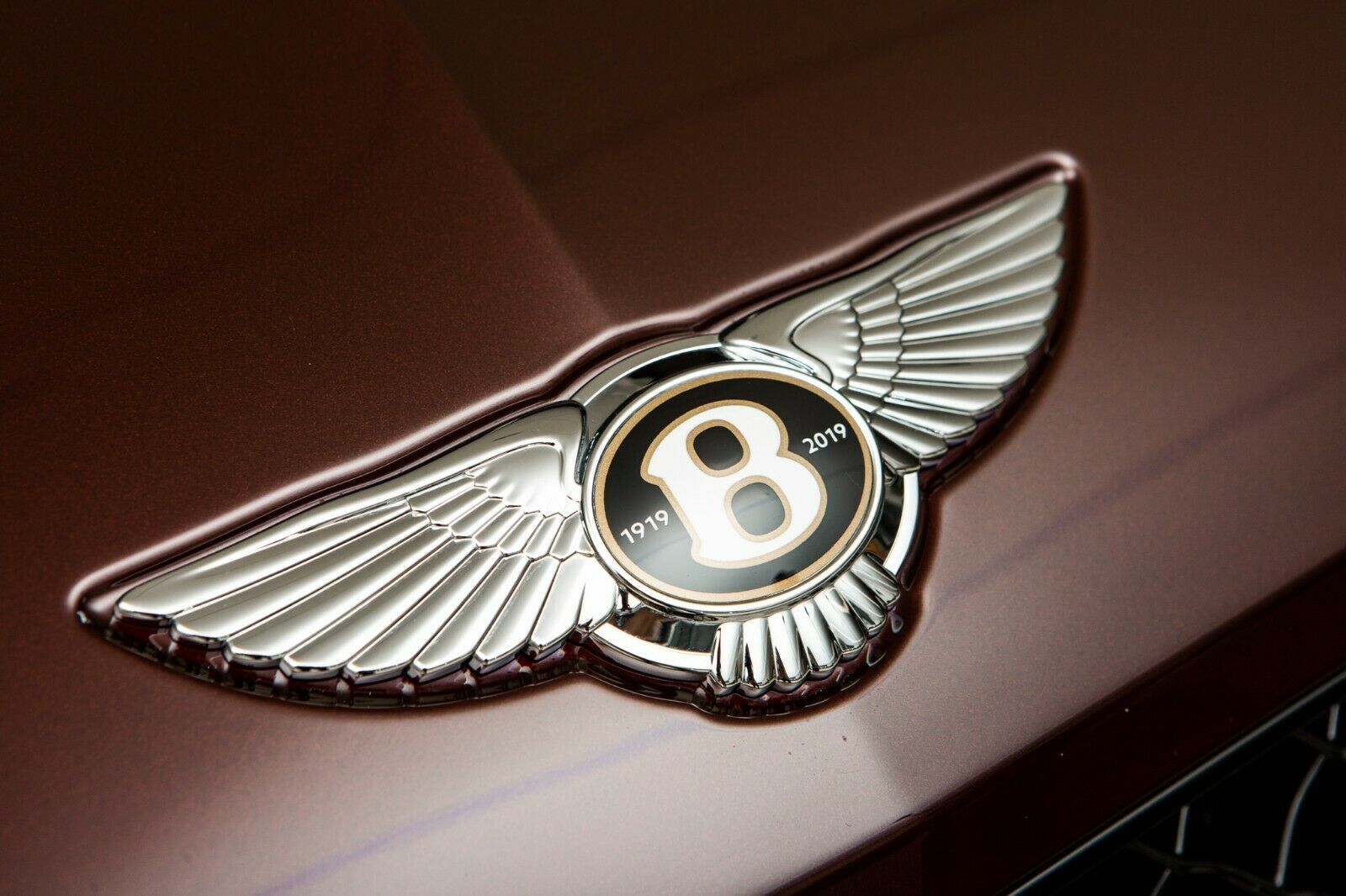2020 Bentley Continental GTC W12, 15/19