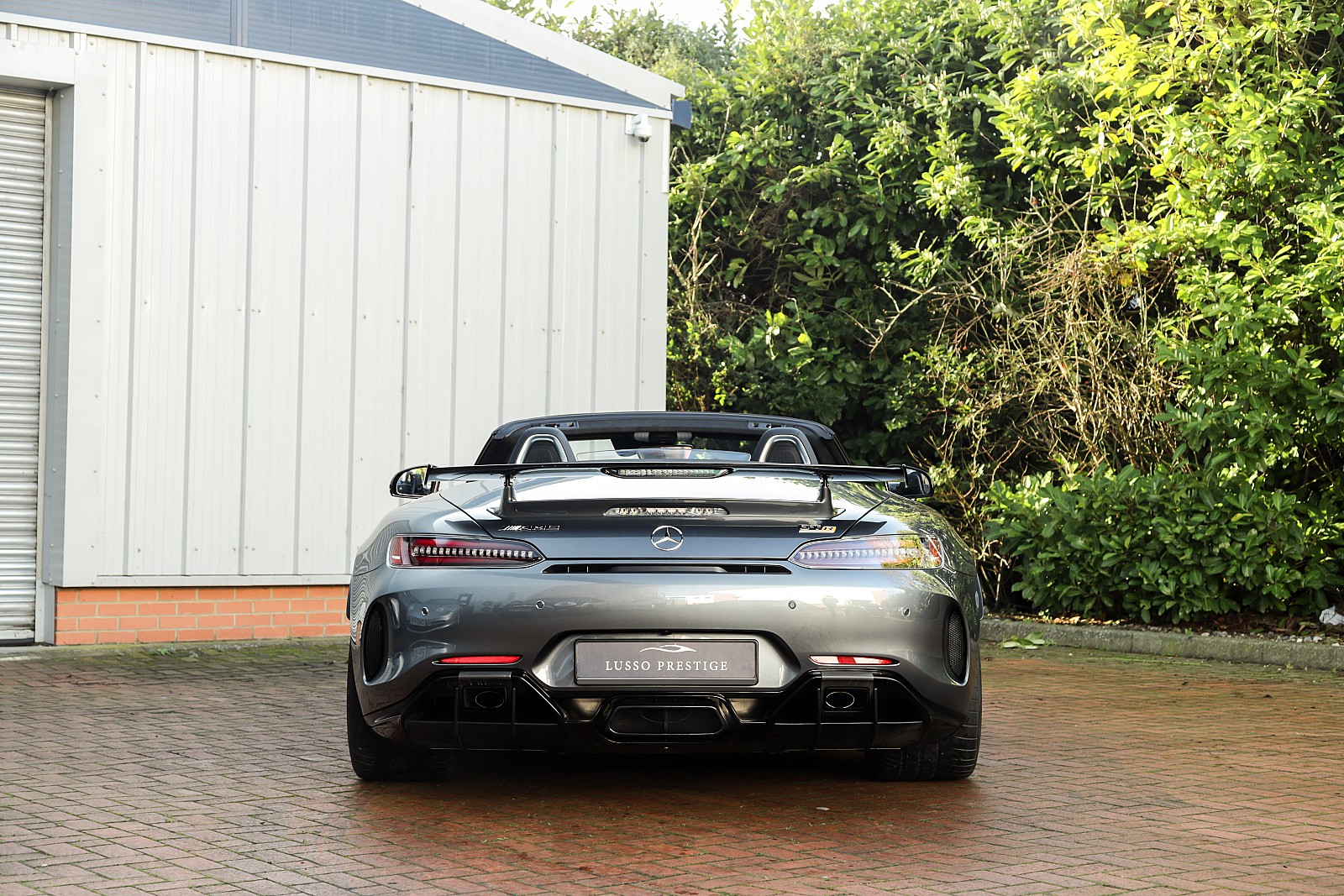 2019 Mercedes-AMG GT R Roadster, 9/20