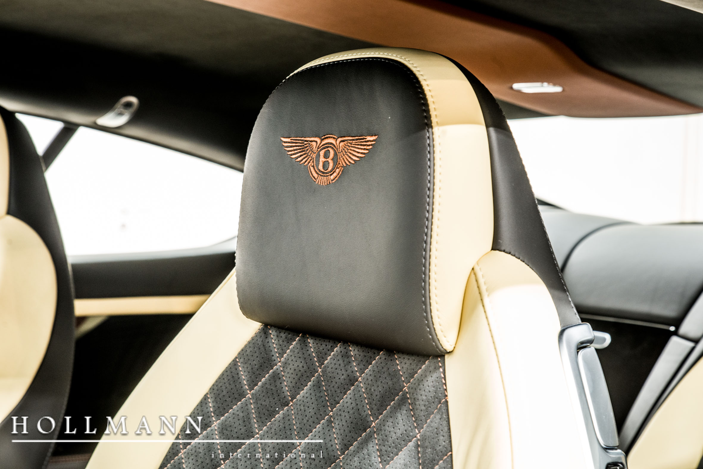 2018 Bentley Continental Supersports, 16/20