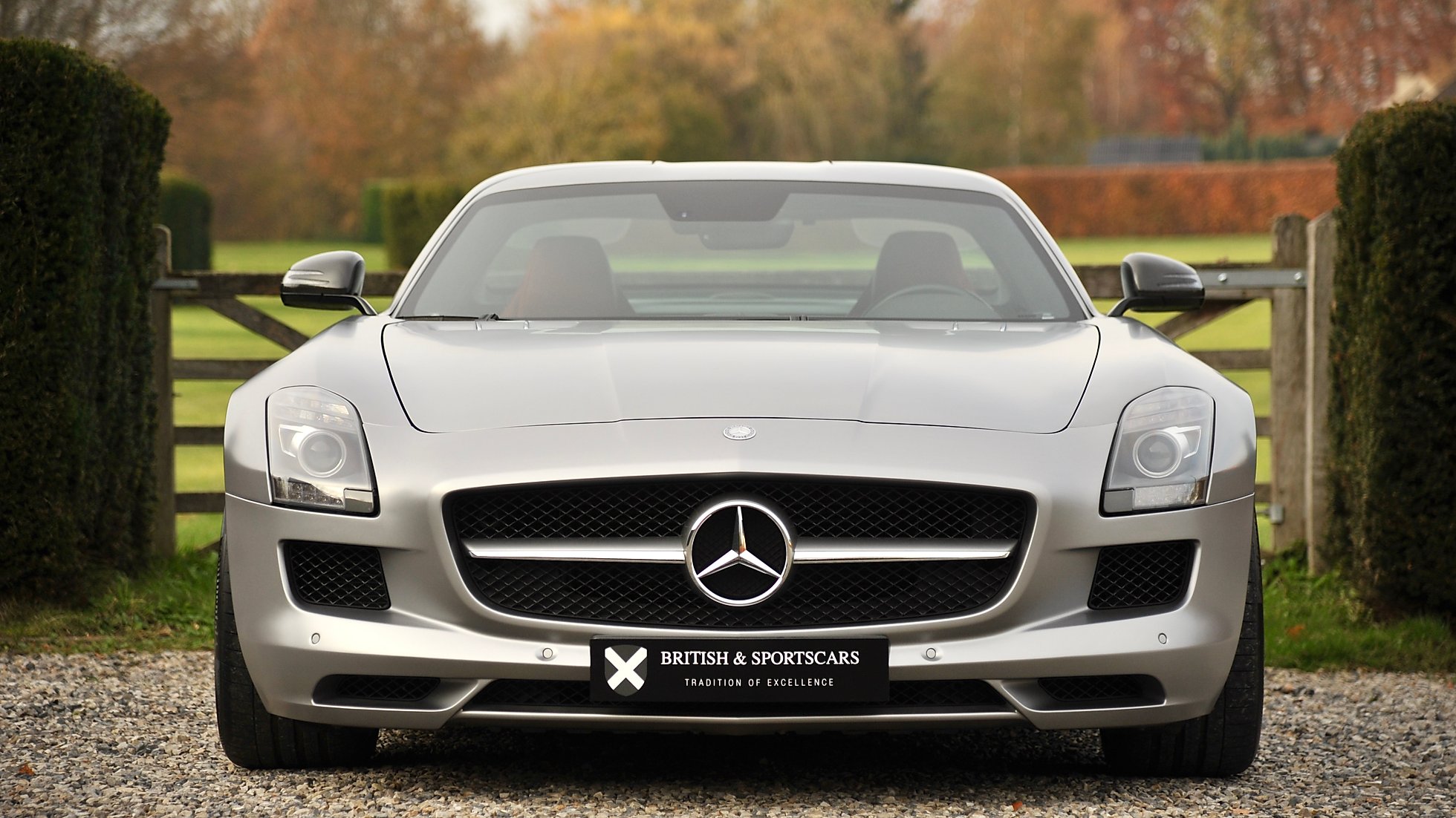 2010 Mercedes-Benz SLS AMG, 14/15