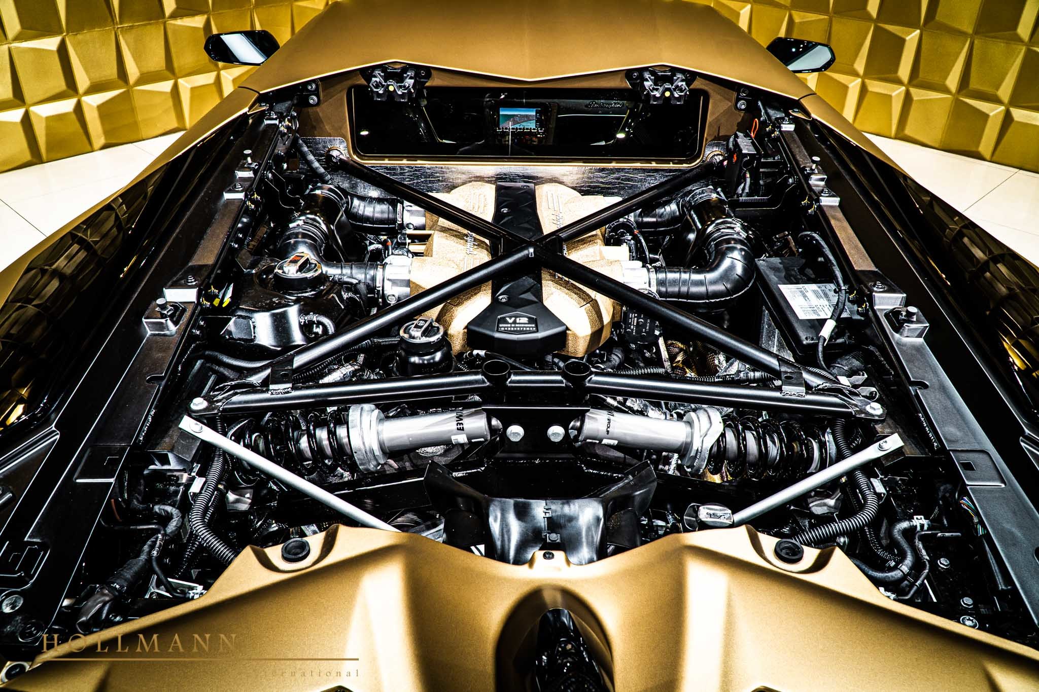 2020 Lamborghini Aventador SVJ, 16/20