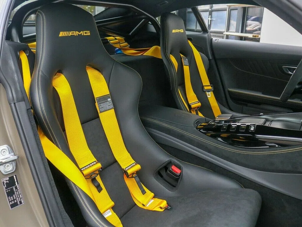 2020 Mercedes-Benz AMG GT AMG GTR Pro interior, seats, Stoff, Andere
