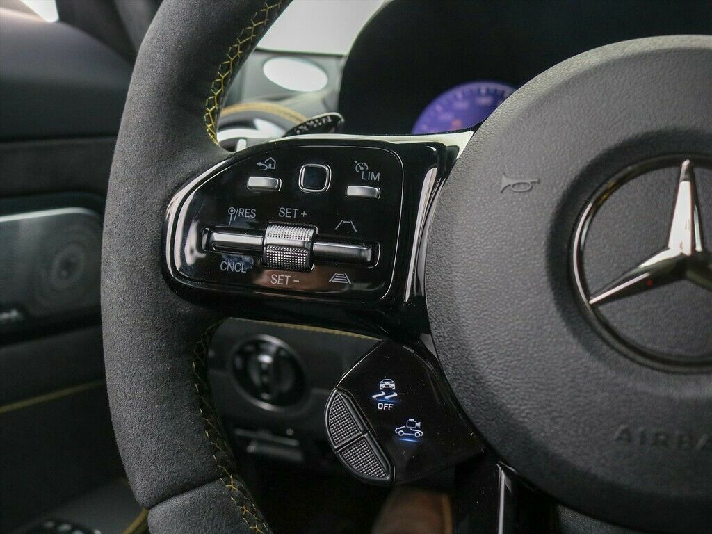 2020 Mercedes-Benz AMG GT AMG GTR Pro, 15/19