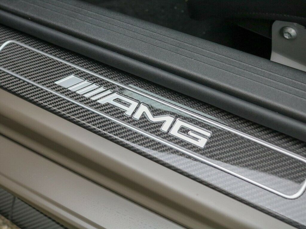 2020 Mercedes-Benz AMG GT AMG GTR Pro, 17/19