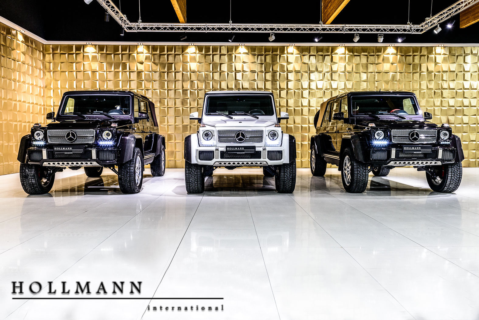 2018 Mercedes-Maybach G650 LANDAULET 1 of 99, 2/19