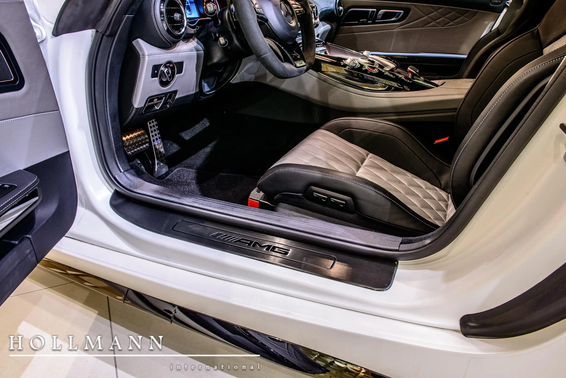 2018 Mercedes AMG GT C Roadster EDITION 50 - Limited Edition 1 of 500 interior, door panel, Grey