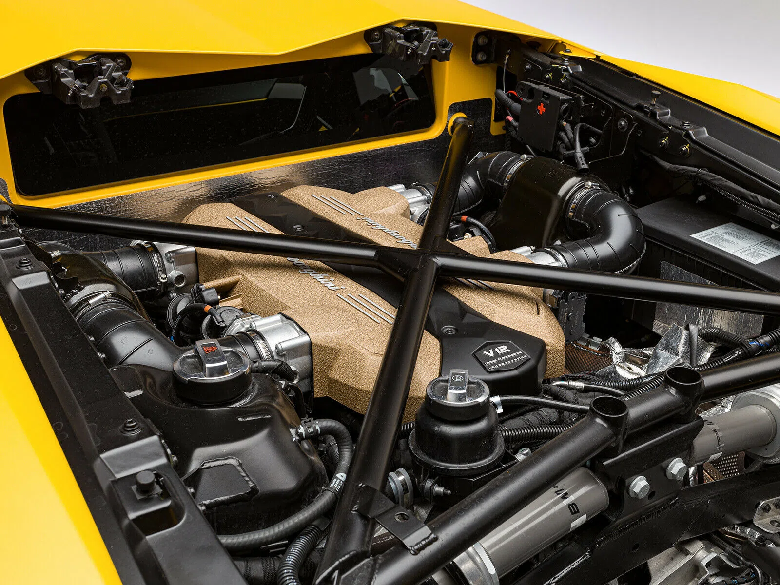 2019 Lamborghini Aventador SVJ Coupe LP770-4 engine