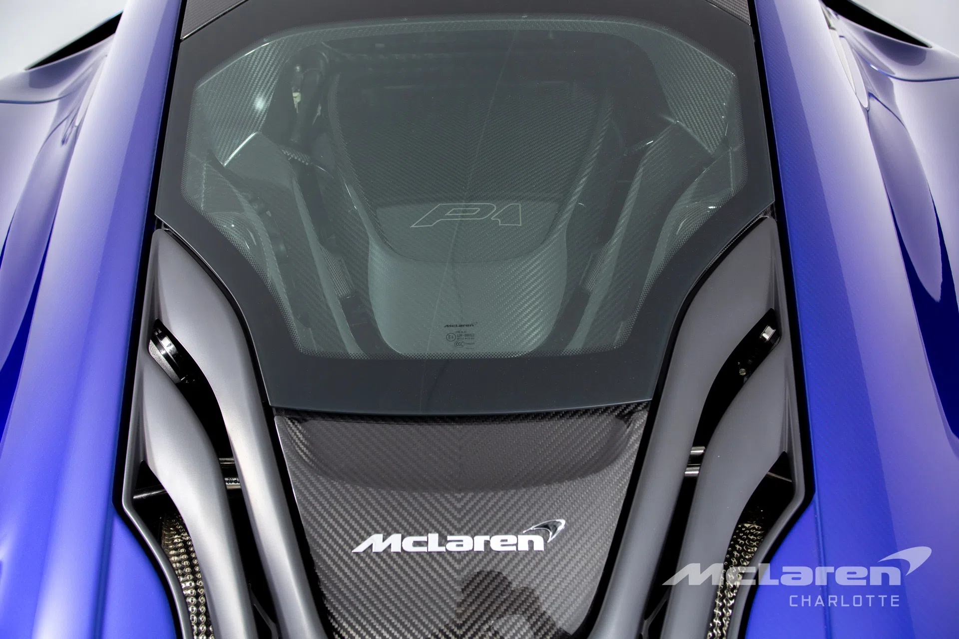 2014 MCLAREN P1, detail