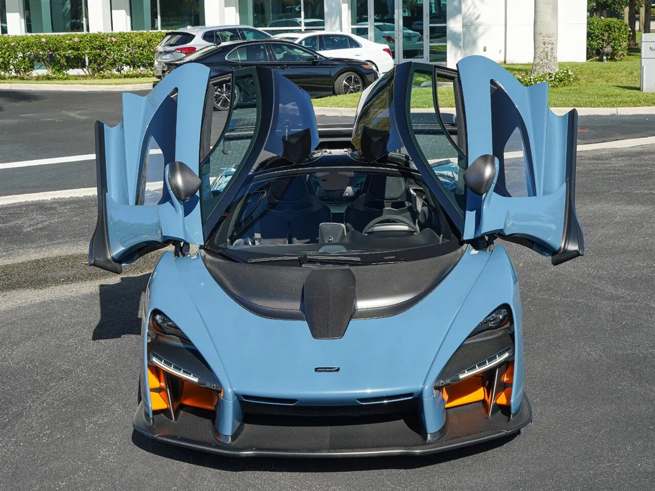 2019 McLaren Senna, 3/20