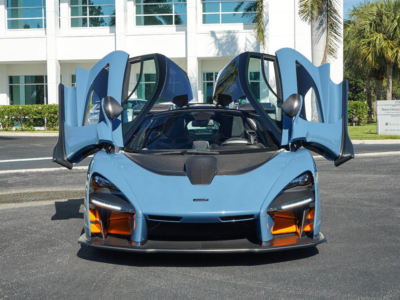 2019 McLaren Senna, 15/20
