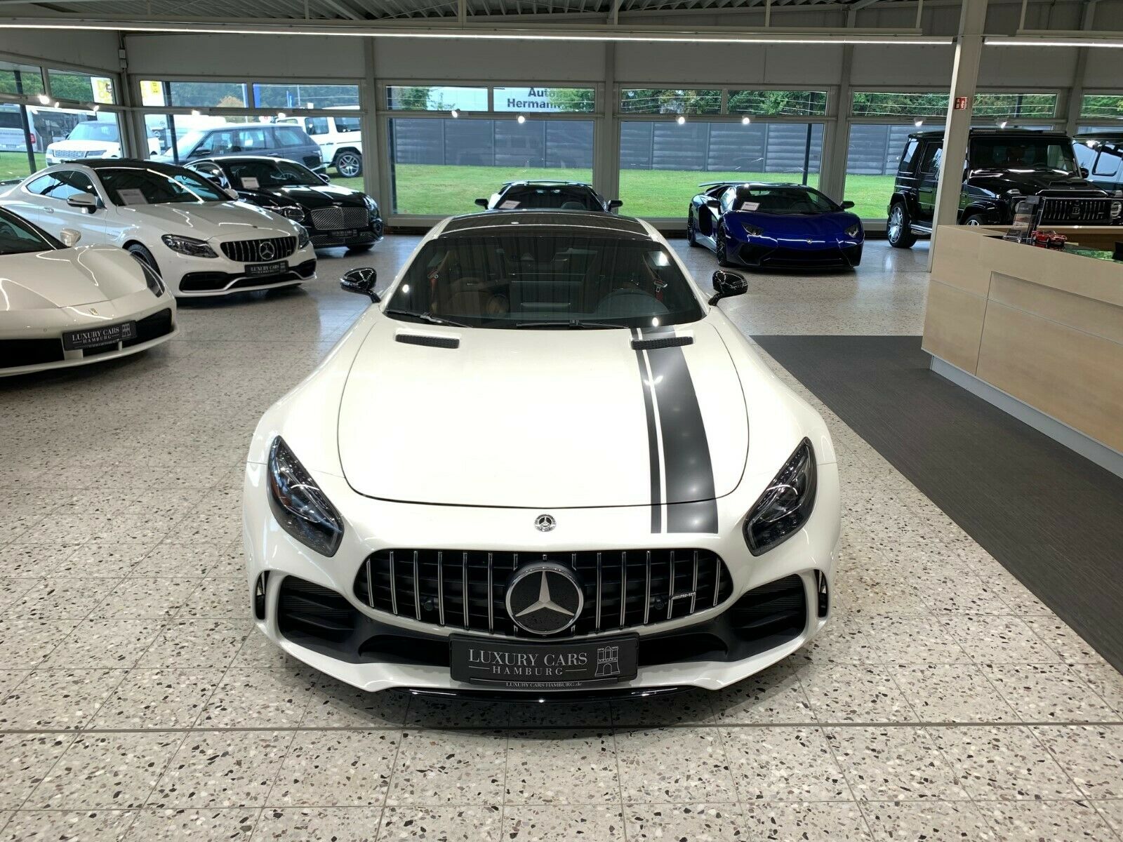 2017 Mercedes-Benz AMG GT R, 8/18