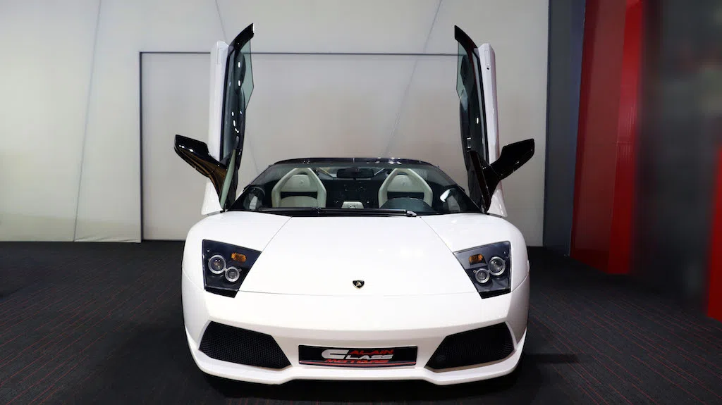 2009 Lamborghini Murcielago Lp640 Roadster Versace – 1 of 20, 20/20