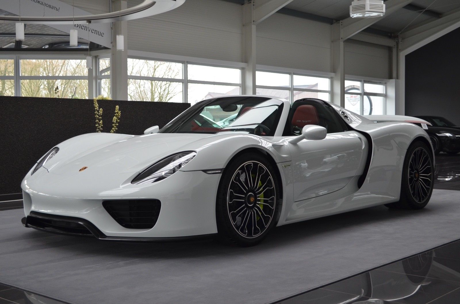 2016 Porsche 918 Spyder, 3/18
