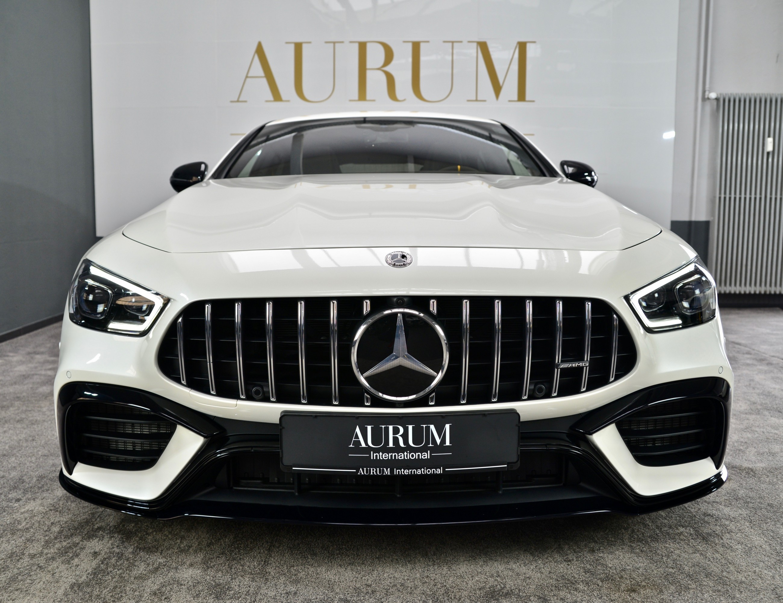 2020 Mercedes-Benz AMG GT 63 S 4M, 2/16