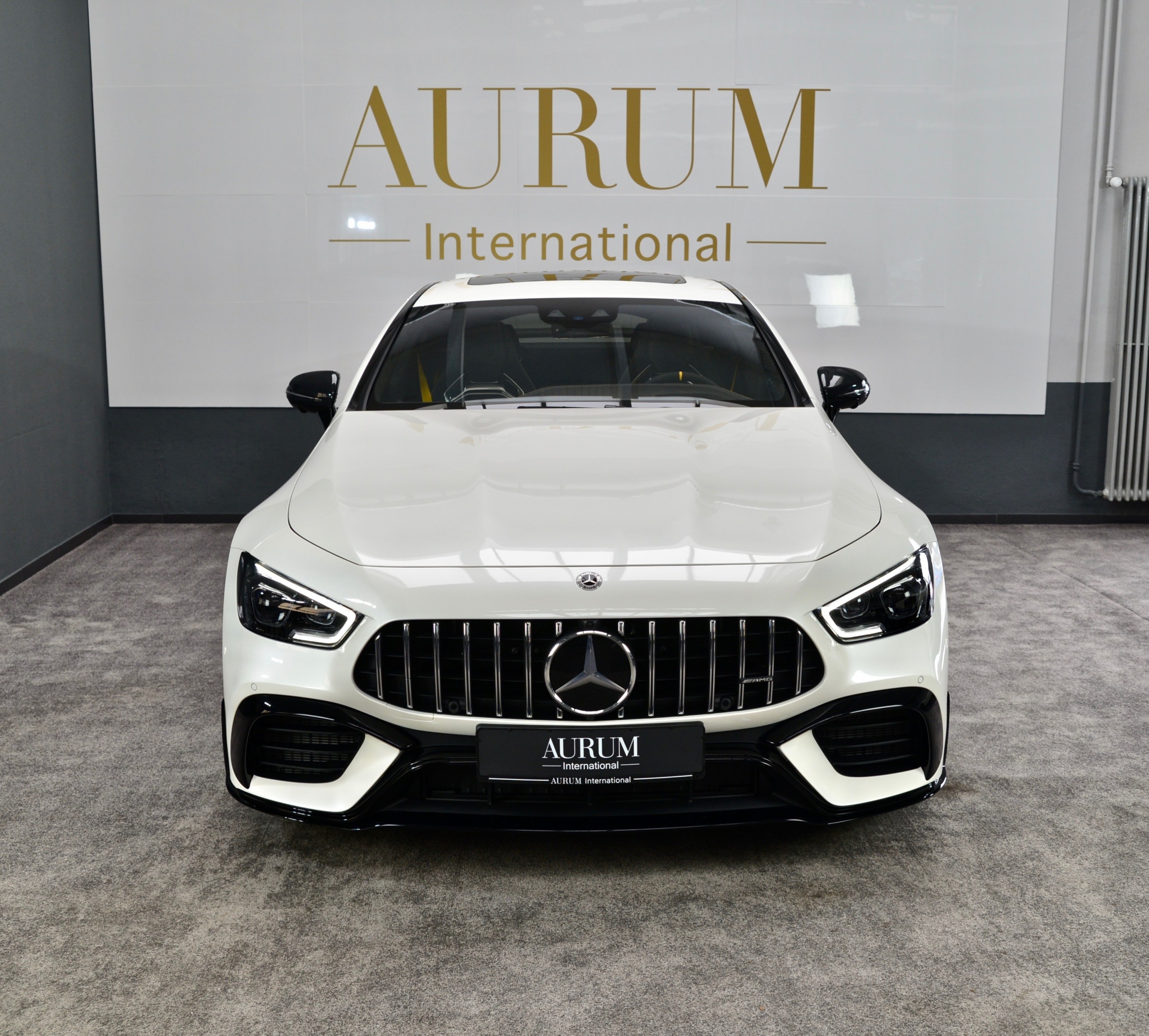 2020 Mercedes-Benz AMG GT 63 S 4M, 16/16