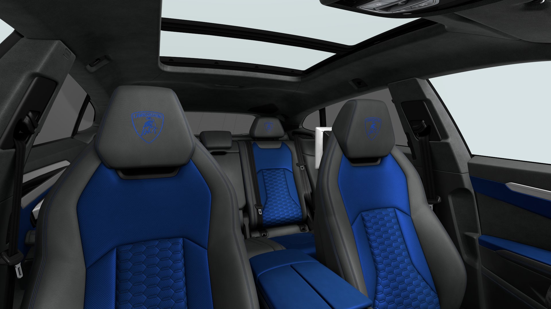 2018 LAMBORGHINI Urus, 13/17