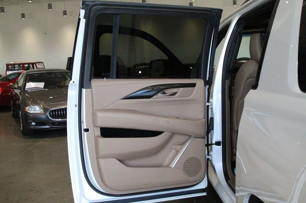 2019 Cadillac Escalade ESV interior, door panel
