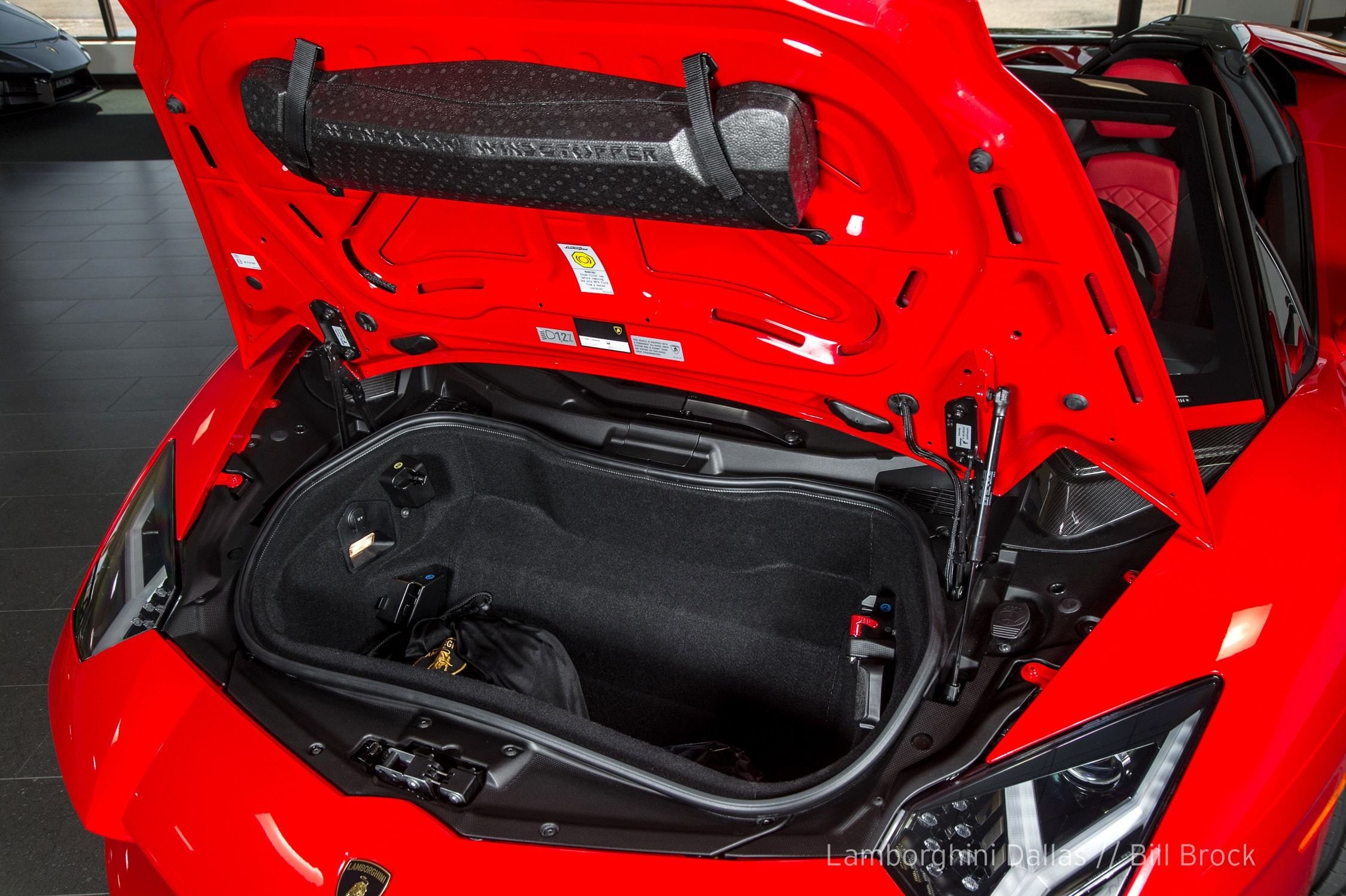2016 Lamborghini Aventador Roadster, 18/20