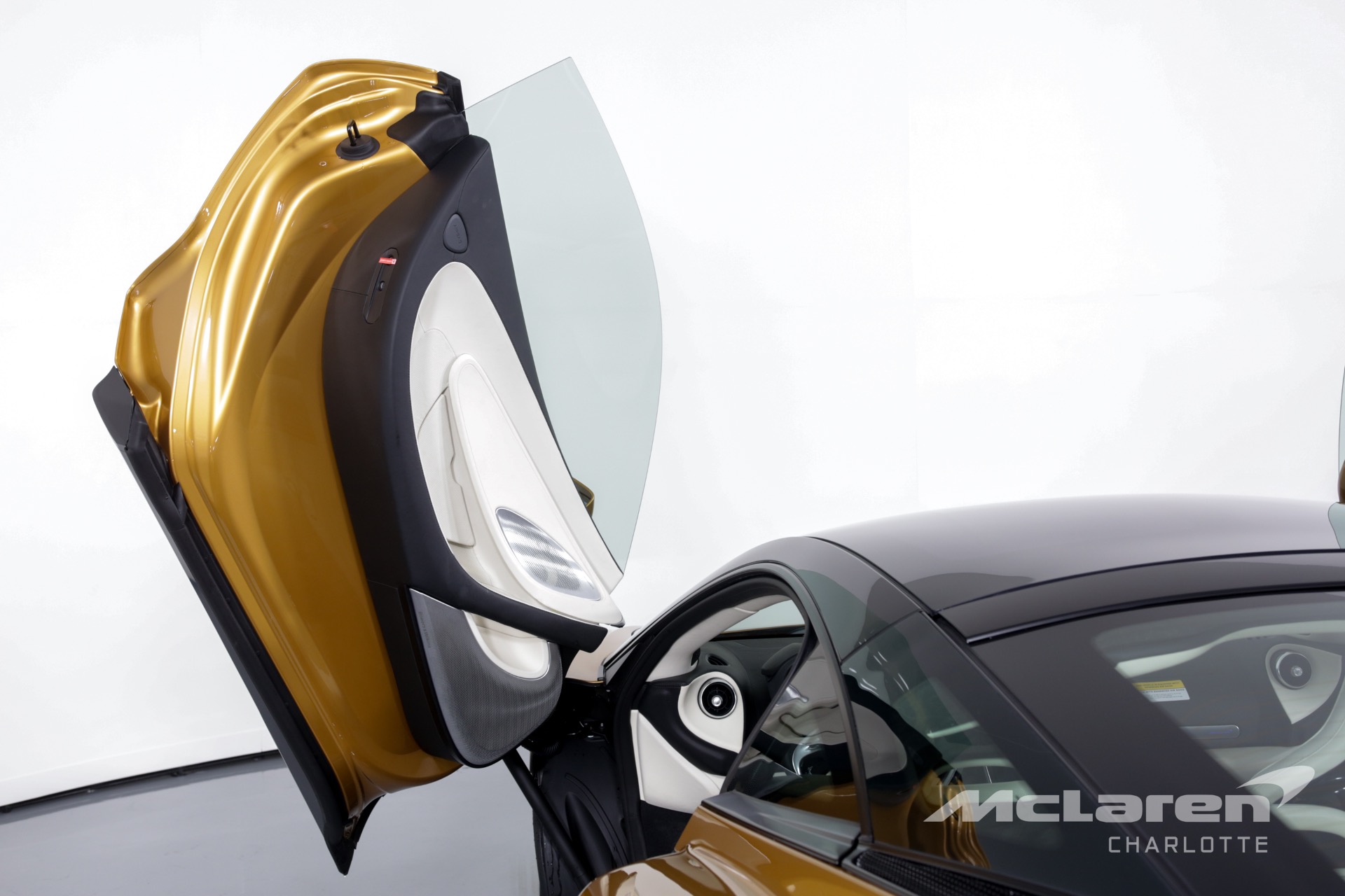 2020 Mclaren GT, 8/19