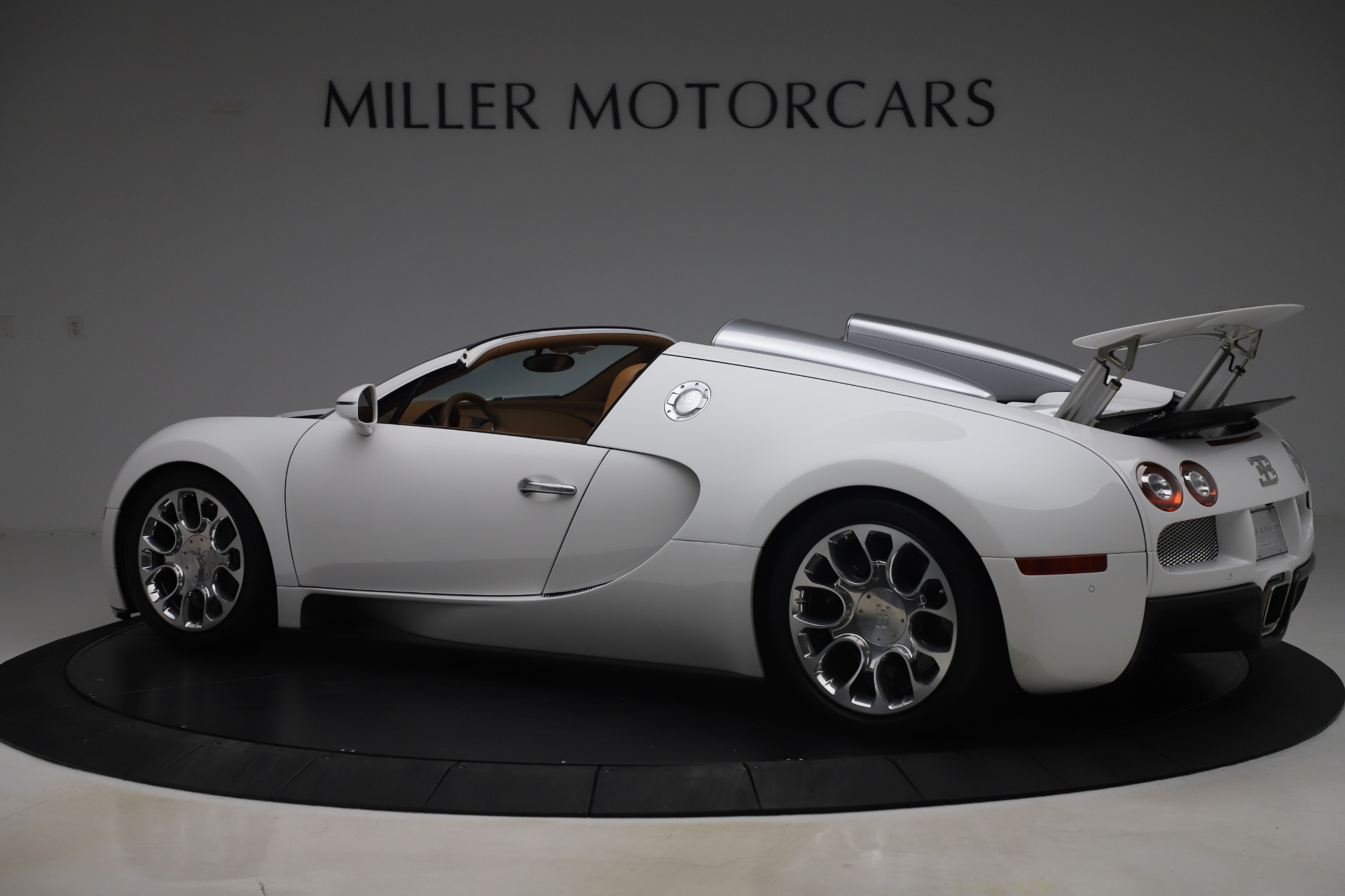 2011 Bugatti Veyron 16.4 Grand Sport, 4/20